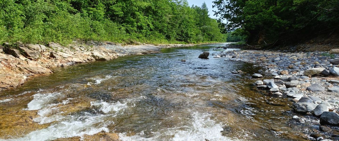 タナゴ竿からWハンドまで